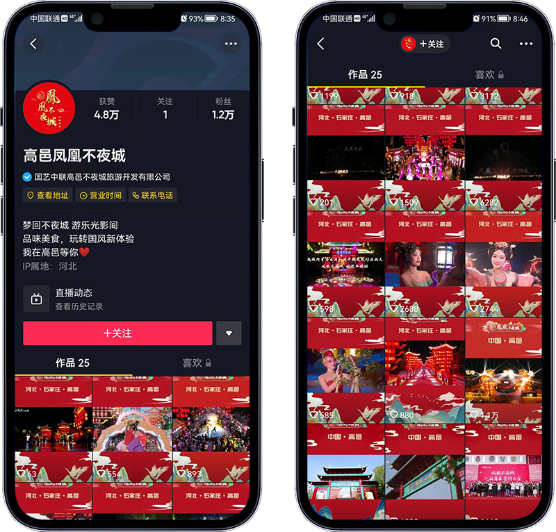 鳳凰不夜城.jpg